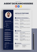 cv agent de blanchisserie exemple