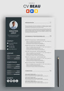 cv beau gris