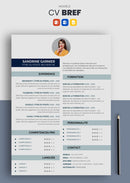 cv gratuit simple bleu