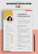 cv business developer exemple