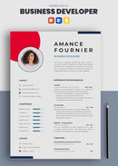 cv business developer