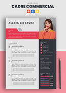 cv cadre commercial exemple