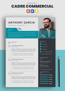 cv de cadre commercial