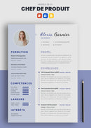 cv chef de produit exemple