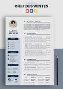 cv chef des ventes exemple