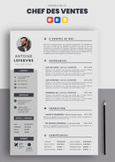 cv chef de vente