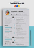 cv commercial exemple