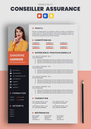 cv conseiller en assurance exemple