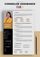 cv conseiller en assurance