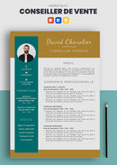 cv conseiller de vente