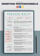 cv conseiller en insertion professionnelle exemple