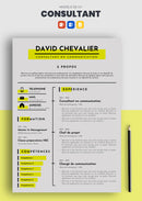 cv consultant en communication exemple