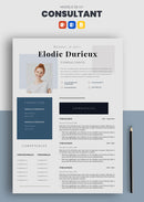 cv consultant en stratégie