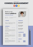 cv consultant en management