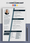 cv convaincant bleu marine