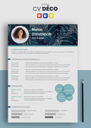 cv déco bleu