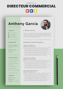 cv type directeur commercial