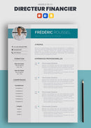 cv directeur financier