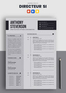 cv directeur des systèmes d'information