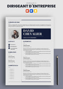 cv dirigeant d'entreprise exemple