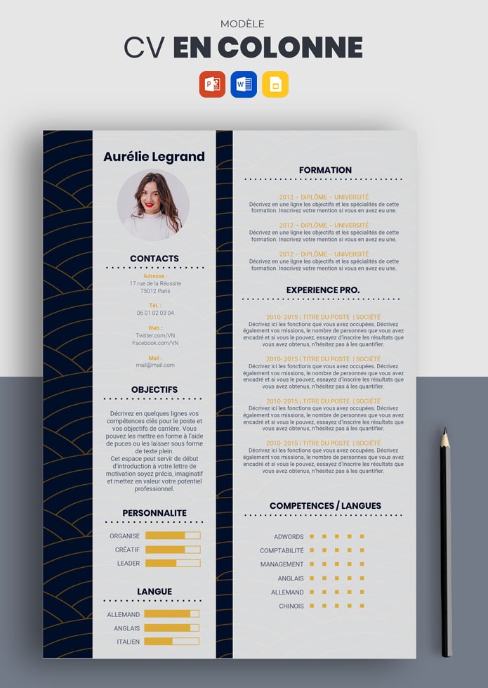 CV en Colonne - Modèle de CV original (Télécharger) | CV Market
