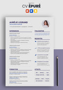 cv épuré bleu