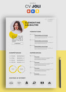 cv joli jaune
