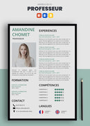 cv professeur exemple