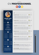 cv professionnel bleu