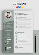 cv récent gris