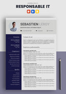 cv responsable informatique exemple