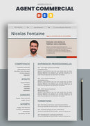 exemple cv agent commercial