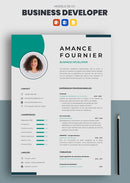 exemple cv business developer