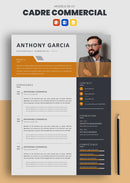 exemple de cv cadre commercial