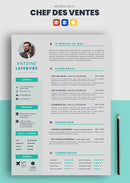 exemple cv chef des ventes