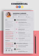 exemple de cv commercial