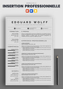 exemple de cv conseiller en insertion professionnelle