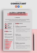 exemple de cv consultant en communication