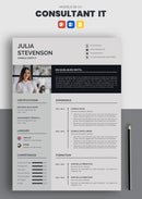 exemple cv consultant informatique