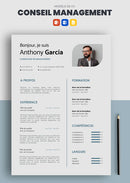 exemple de cv consultant en management