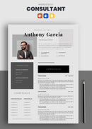 exemple de cv consultant