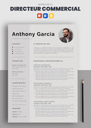 exemple de cv de directeur commercial