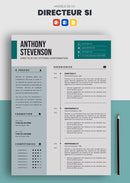 exemple cv directeur des systèmes d'information