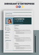 exemple cv dirigeant d'entreprise