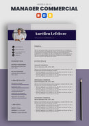 exemple de cv manager commercial