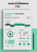 exemple de cv sans expérience professionnelle