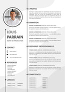 modele cv agent de production