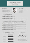 modele cv agent de voyage