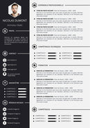 modele cv animateur radio