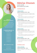 modèle cv petite enfance